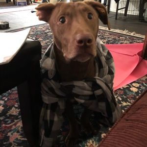 Meet your Posher, Amanda